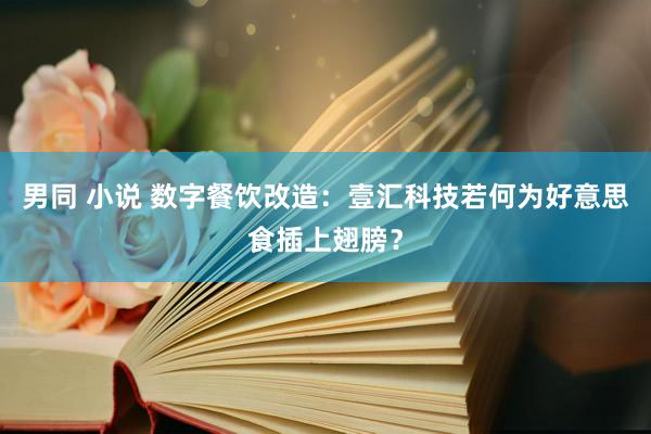 男同 小说 数字餐饮改造：壹汇科技若何为好意思食插上翅膀？