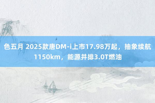 色五月 2025款唐DM-i上市17.98万起，抽象续航1150km，能源并排3.0T燃油