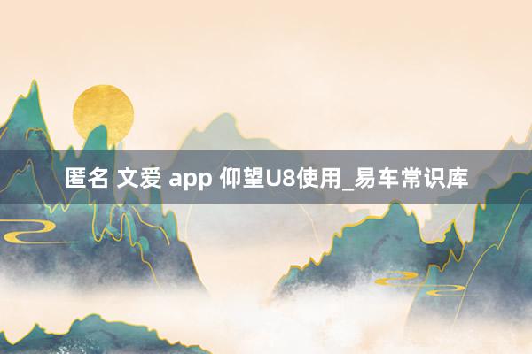 匿名 文爱 app 仰望U8使用_易车常识库