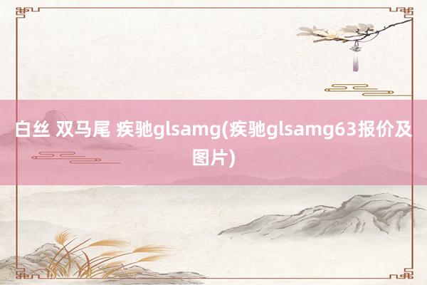 白丝 双马尾 疾驰glsamg(疾驰glsamg63报价及图片)