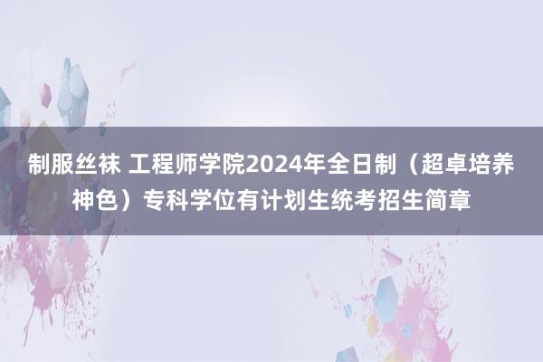 制服丝袜 工程师学院2024年全日制（超卓培养神色）专科学位有计划生统考招生简章