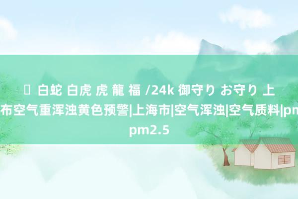 ✨白蛇 白虎 虎 龍 福 /24k 御守り お守り 上海发布空气重浑浊黄色预警|上海市|空气浑浊|空气质料|pm2.5