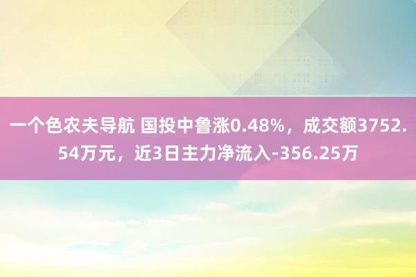 一个色农夫导航 国投中鲁涨0.48%，成交额3752.54万元，近3日主力净流入-356.25万